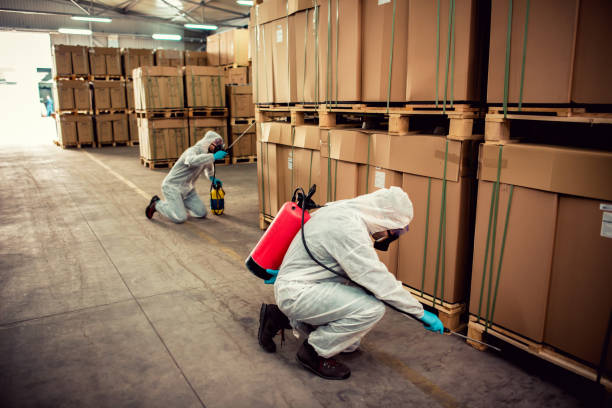 Best Best Pest Control Companies  in Florence, SC