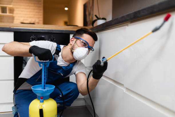 Best Pest Control Near Me  in Florence, SC