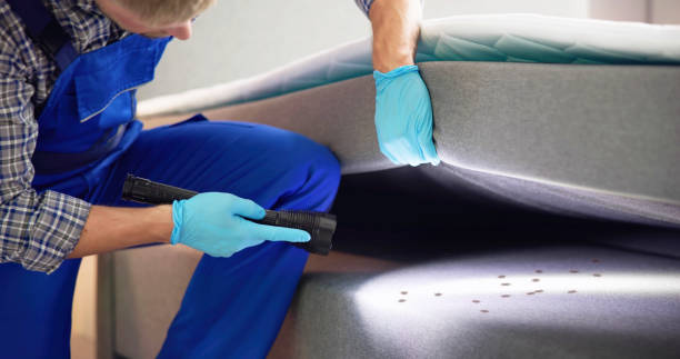 Best Wasp Removal Services  in Florence, SC