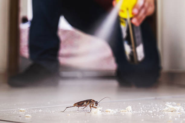 Best Commercial Pest Control Services  in Florence, SC
