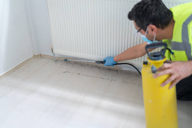 Pest Control Cost in Florence, SC